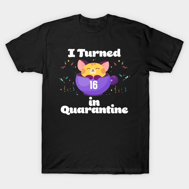 I Turned 16 In Quarantine T-Shirt by Dinfvr
